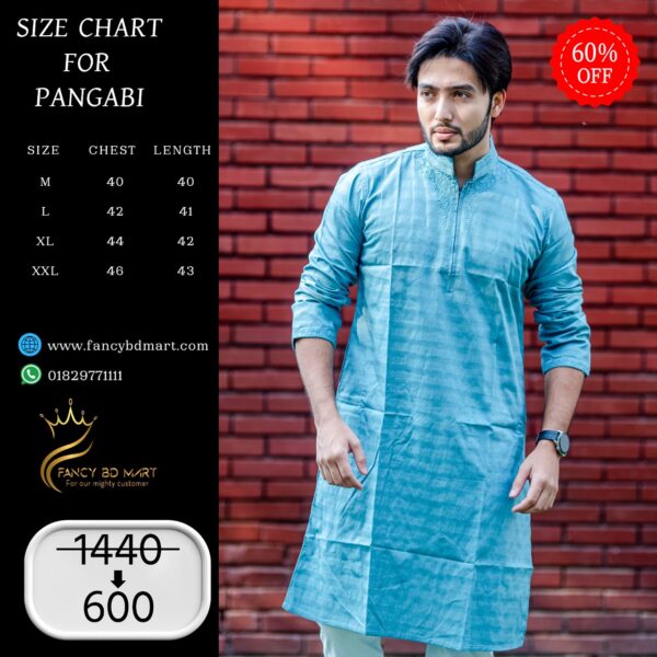 Light Sky Blue Printed Premium Embroidery Panjabi